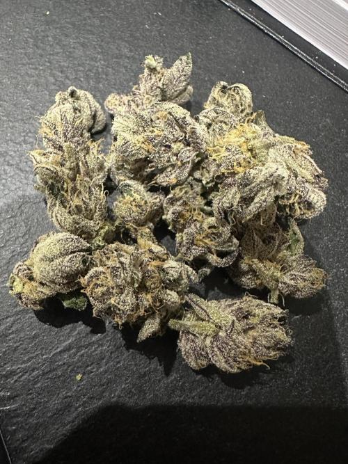 Wizard Trees 🧙‍♀️. Week 9