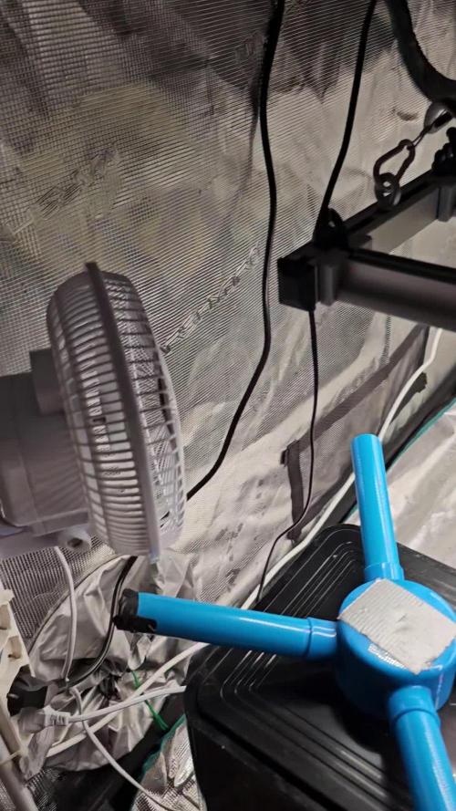 London pound cake x jealousy x zowahh