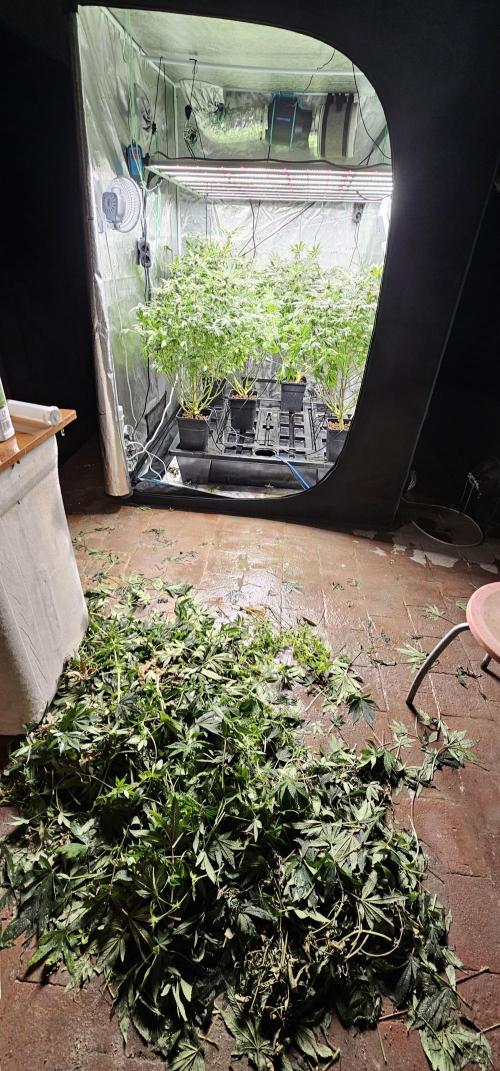 London pound cake x jealousy x zowahh. Week 10