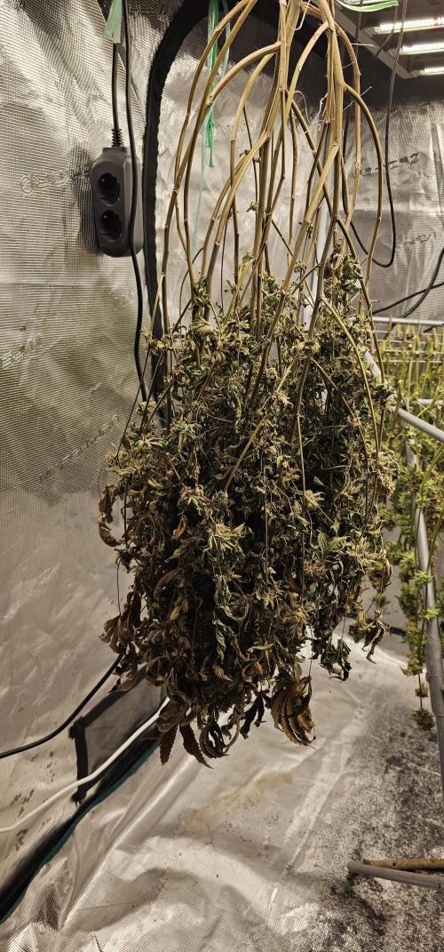 London pound cake x jealousy x zowahh. Week 18