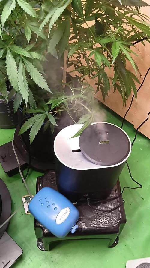 Gaia F1 /7 Autopot// Biotabs