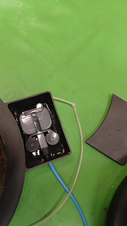 Autopot+Biotabs vs. Photoperiods #4