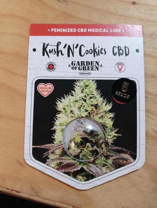 Autopot+Biotabs vs. Photoperiods #1. Week 12