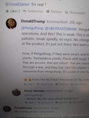 Comment by Mrs_Larimar photo #1