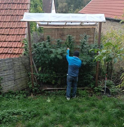 Interview With Biotabs. Week 0 - Outdoor