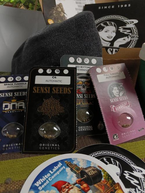 OUT 26/ New/ Full Throttle Sensi Seeds. Week 0