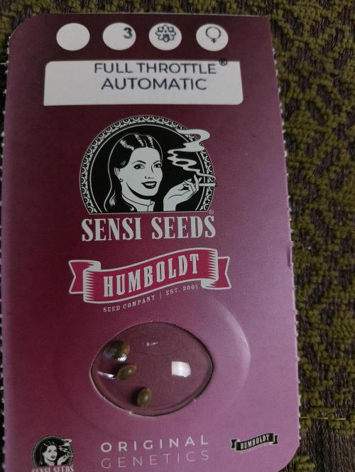 OUT 26/ New/ Full Throttle Sensi Seeds. Week 0