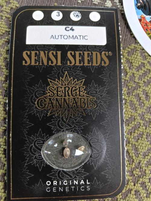 OUT26 //C4- Automatic// SensiSeeds. Week 0