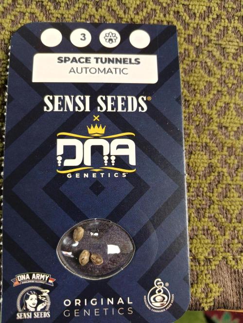 OUT26/NEW/ SPACE TUNNELS- Sensi Seeds. Week 0