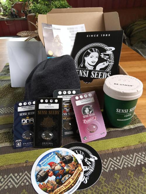 OUT26/NEW/ RED BOTTOMS- Sensi Seeds. Week 0
