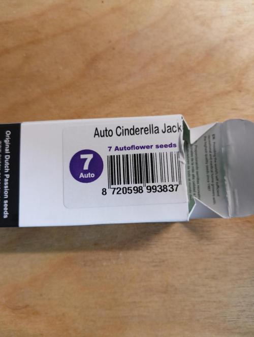 Outdoor 26// DP- Auto Cindarella Jack. Week 0