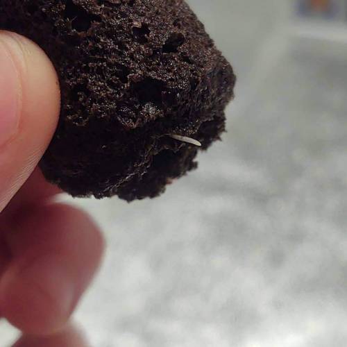 Purple Lemonade by FastBuds - AutoPot . Week 0