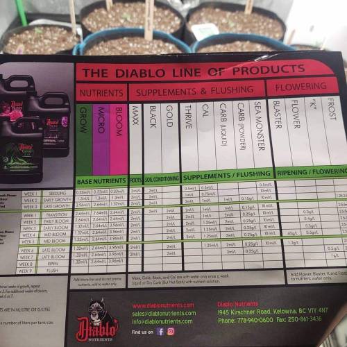 Purple Lemonade by FastBuds - AutoPot . Week 1 - I'll cut the feed chart in half