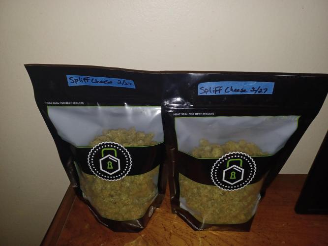 Spliff Cheese Please!. Week 19 - Ready to cure on up