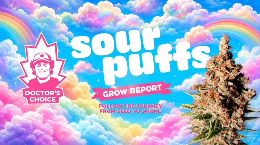 Sour puff | 0,1 м² | Hi-Tech PC. Week 1