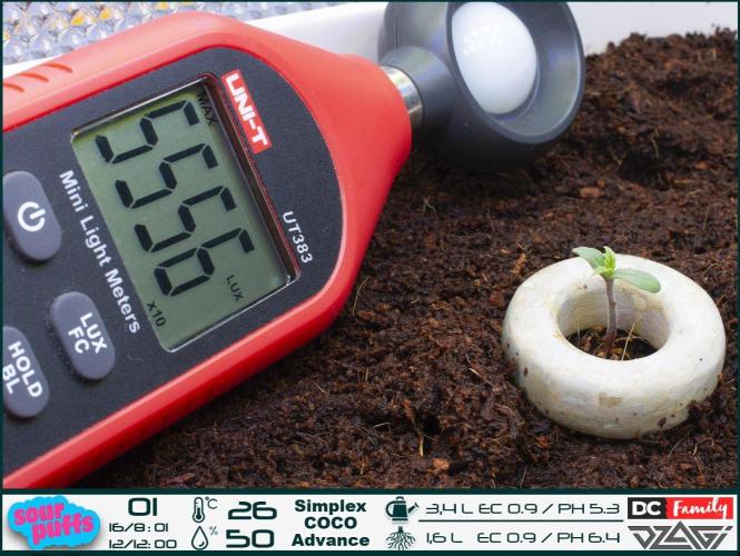 Sour puff | 0,1 м² | Hi-Tech PC. Week 1