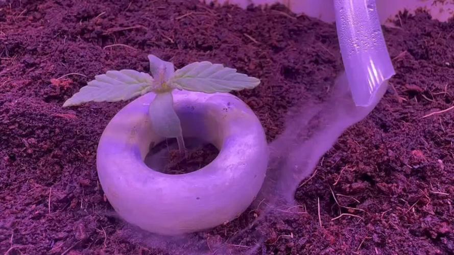 Sour puff | 0,1 м² | Hi-Tech PC