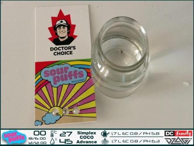 Sour puff | 0,1 м² | Hi-Tech PC. Week 1 - At 18:10, the seed was soaked in osmosis water. 