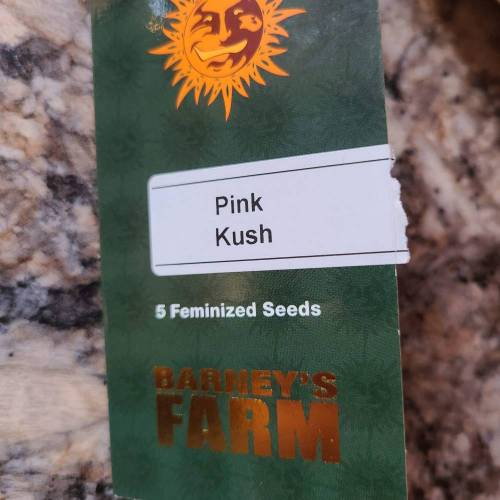 Bunch of trials on new strains. Week 0