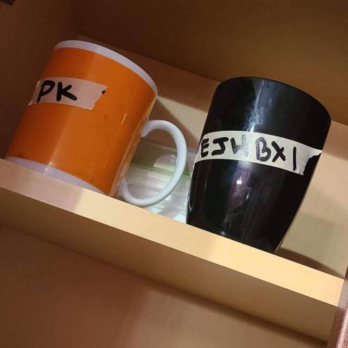 Bunch of trials on new strains. Week 0