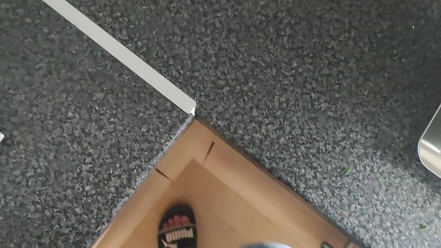 Dutch passion auto melonade runtz