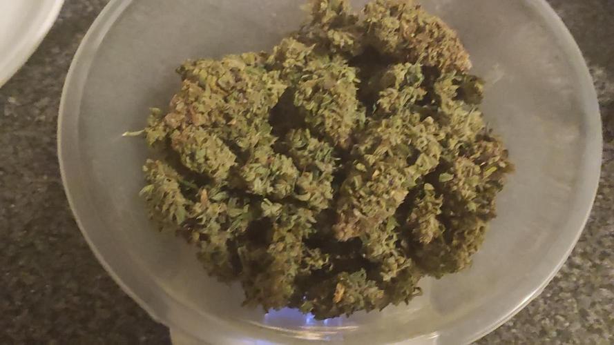 Divine seeds competition