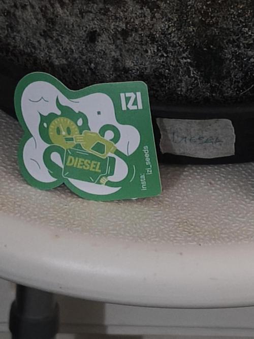 IZI Seeds Grow Report Contest 2025. Week 1