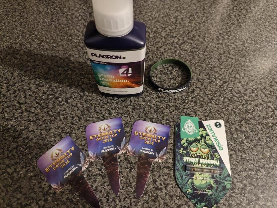 Eternity grow cup sticky broccoli auto. Week 0