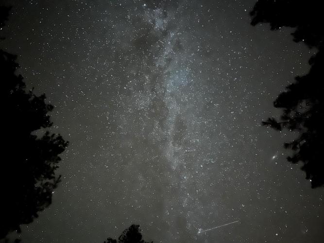 Grow Dry Trim Cure Smoke 2025. Week 30