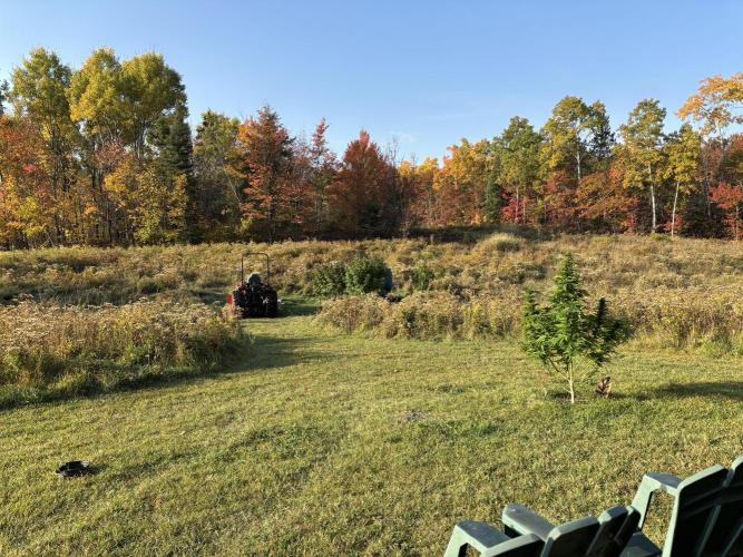 Grow Dry Trim Cure Smoke 2025. Week 30