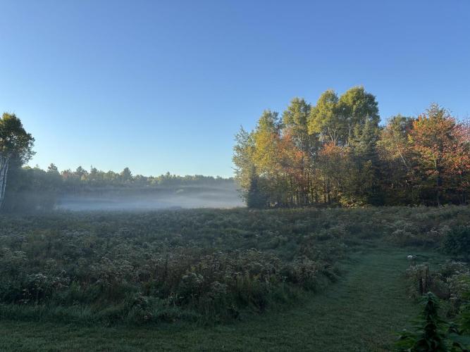 Grow Dry Trim Cure Smoke 2025. Week 30