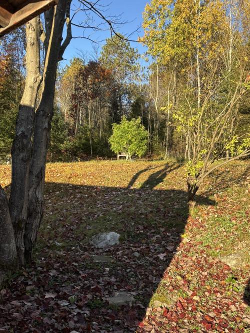 Grow Dry Trim Cure Smoke 2025. Week 30