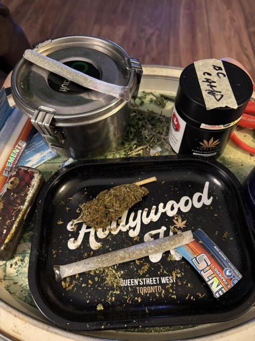 Grow Dry Trim Cure Smoke 2025. Week 30