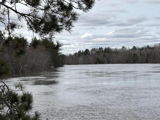 still Going Still growing 2026. Week 5 - River is flooding