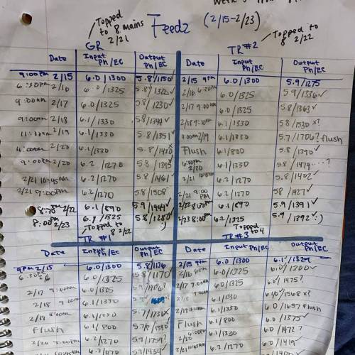 Exotic Genetix Greasy & Tropical Runtz. Week 3 - Feed sheet