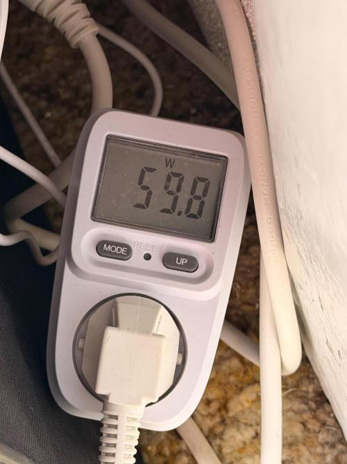 Guava Auto + Triton Biscotto Lime Auto. Week 3