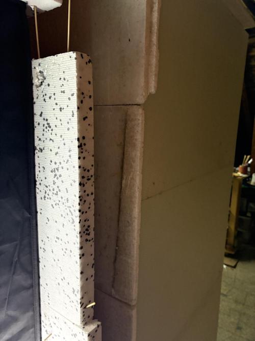 Black Lemon Exotic Seeds. Week 3