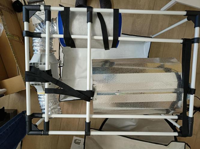 RQS Sherbet Queen. Week 0 - Grow box setup 