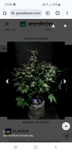 Comment by Hashy photo #3
