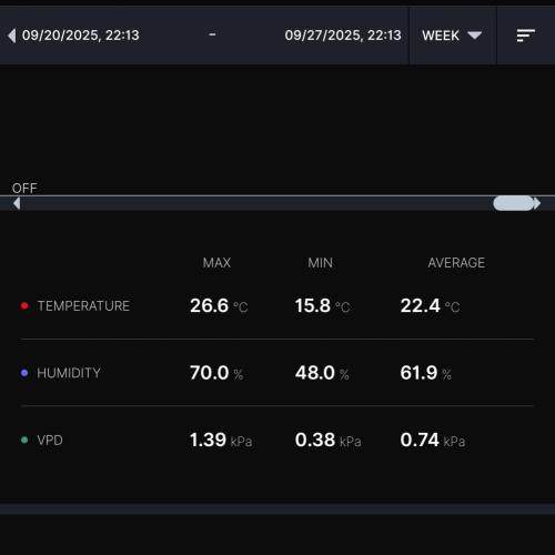 Biscotti Gelato (GDG 24 #1). Week 4