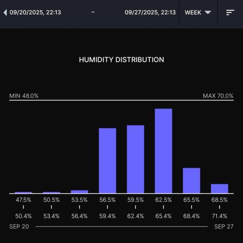 Biscotti Gelato (GDG 24 #1). Week 4