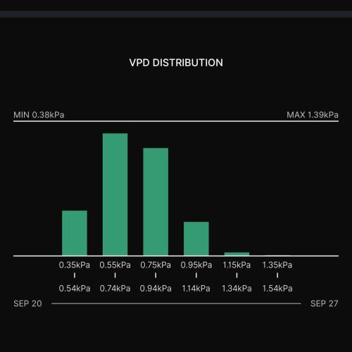 Biscotti Gelato (GDG 24 #1). Week 4