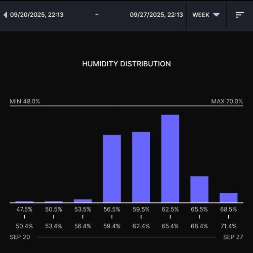 Gelato (GDG24 #2). Week 3