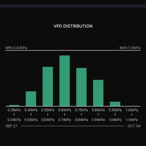 Biscotti Gelato (GDG 24 #1). Week 5