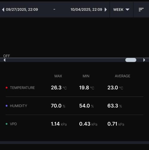 Gelato (GDG24 #2). Week 4