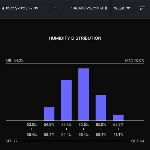 Gelato (GDG24 #2). Week 4