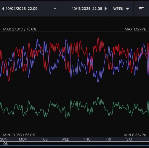 Biscotti Gelato (GDG 24 #1). Week 6 - Week 6 environment 