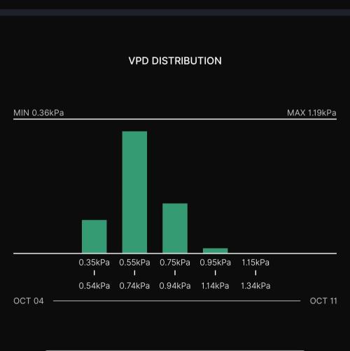 Biscotti Gelato (GDG 24 #1). Week 6