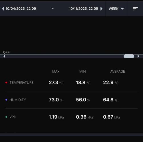 Gelato (GDG24 #2). Week 5