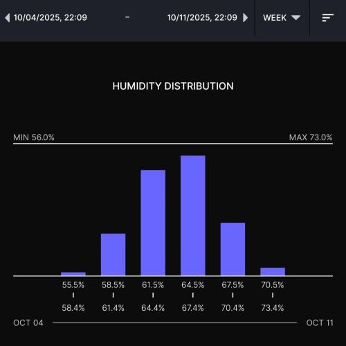 Gelato (GDG24 #2). Week 5